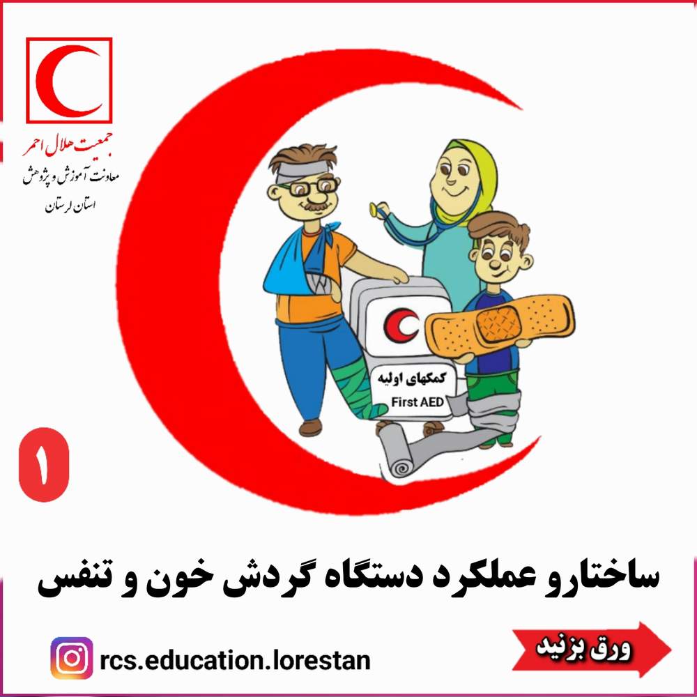 ساختار و عملکرد دستگاه گردش خون و تنفس