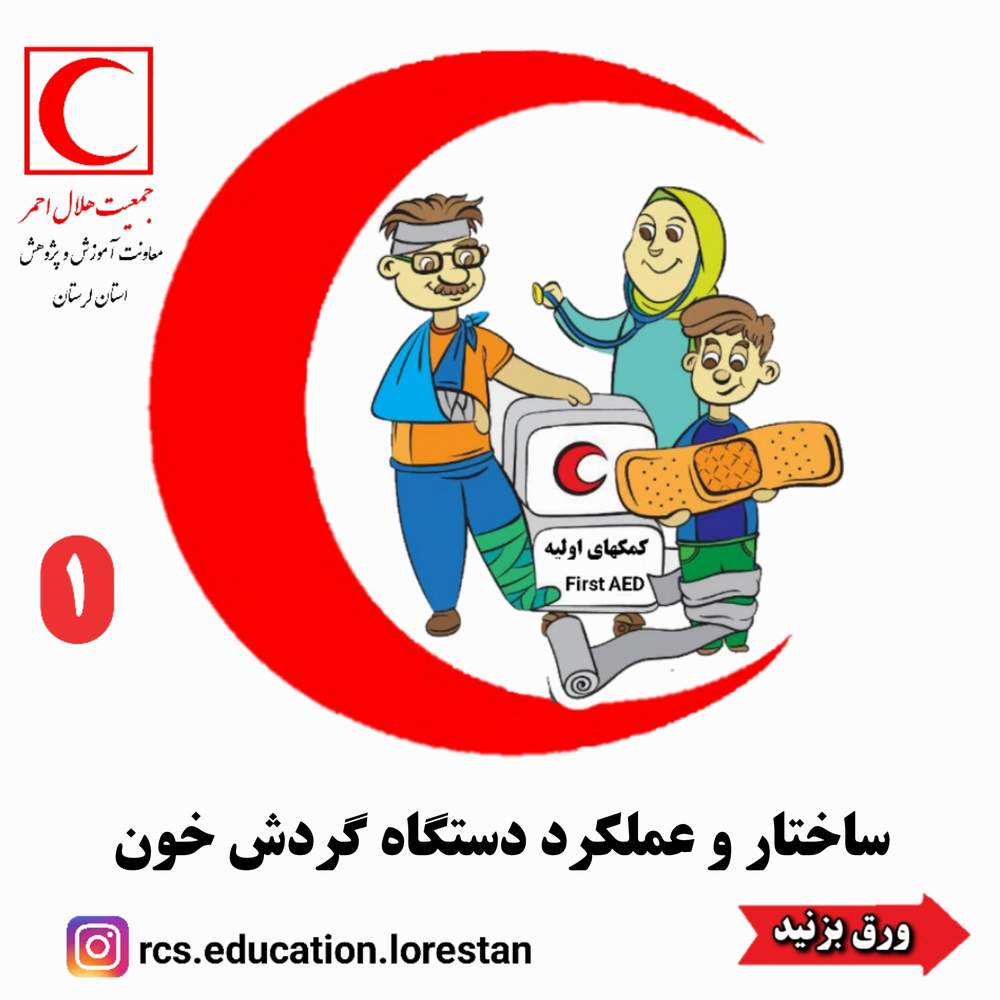 ساختار و عملکرد دستگاه گردش خون