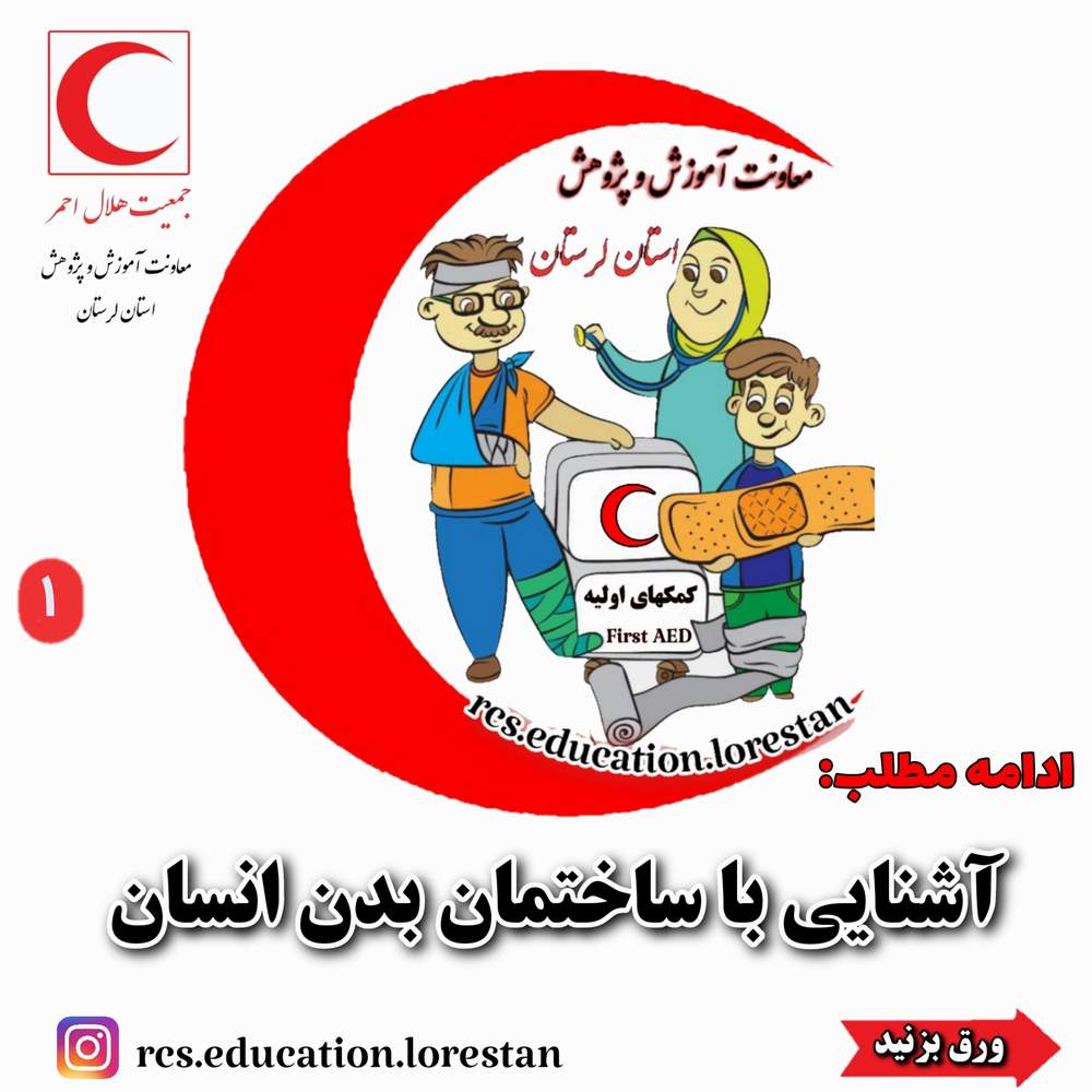 با ساختار بدن انسان آشنا شوید....